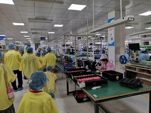 探索之旅 | 博文小學204中隊彩云小隊鵬雁科技實踐行